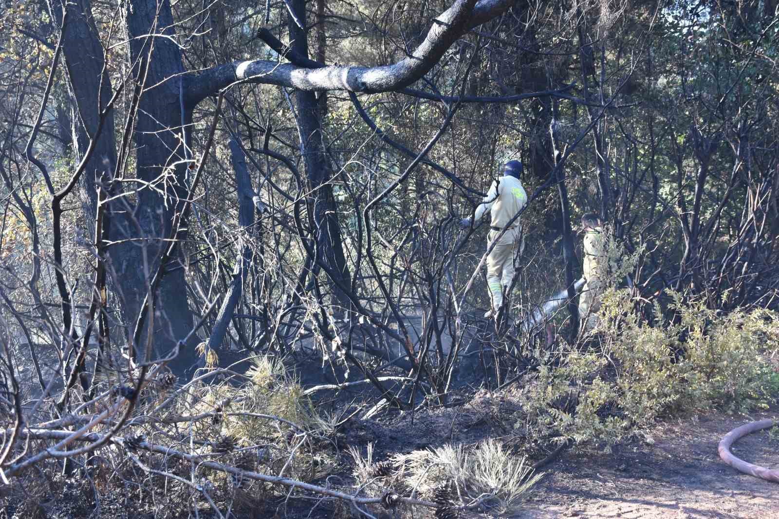 Kemalpaşa’da tırdan ormanlık arana sıçrayan yangın kontrol altında