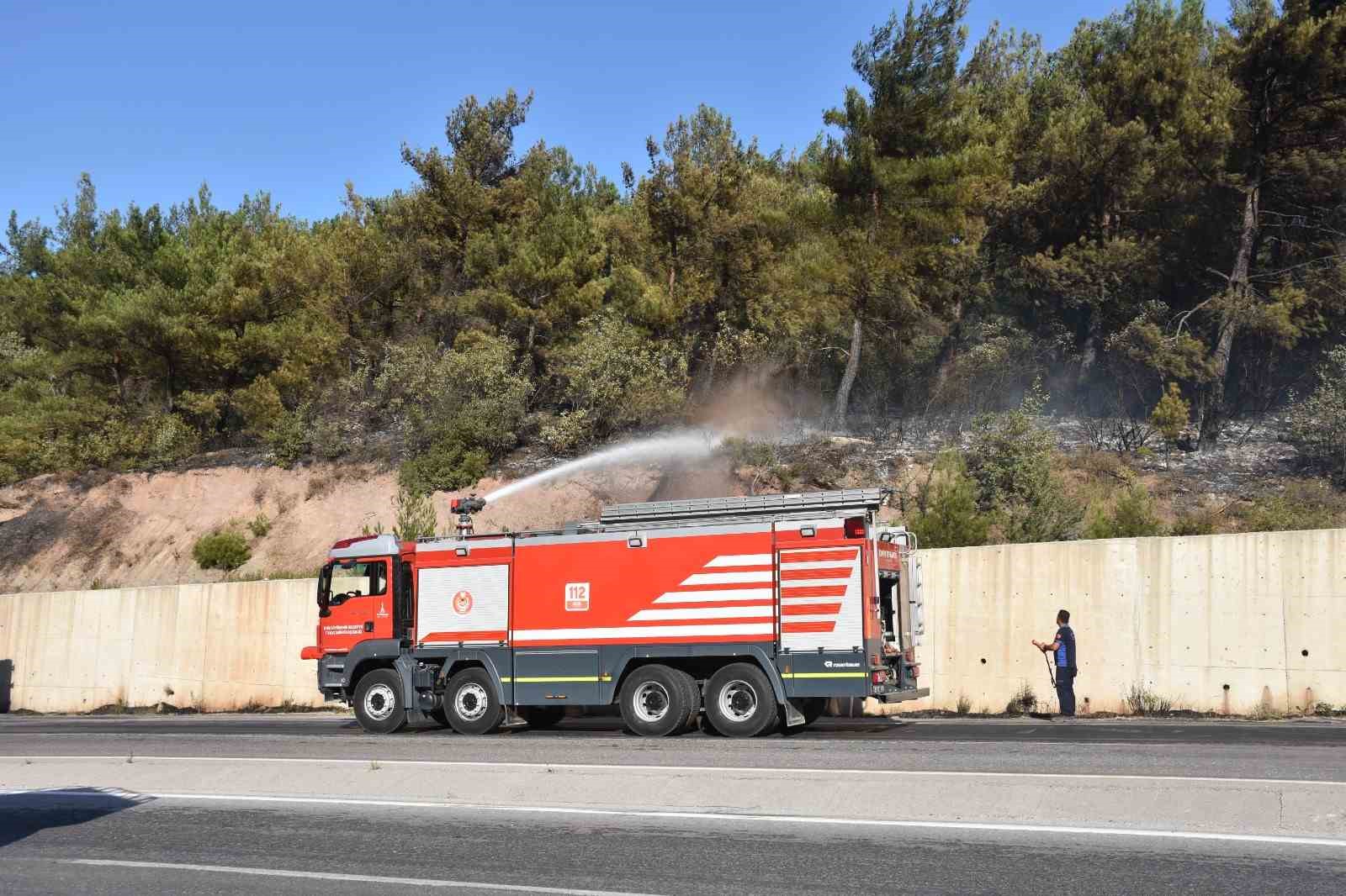 Kemalpaşa&rsquo;da tırdan ormanlık arana sı&ccedil;rayan yangın kontrol altında
