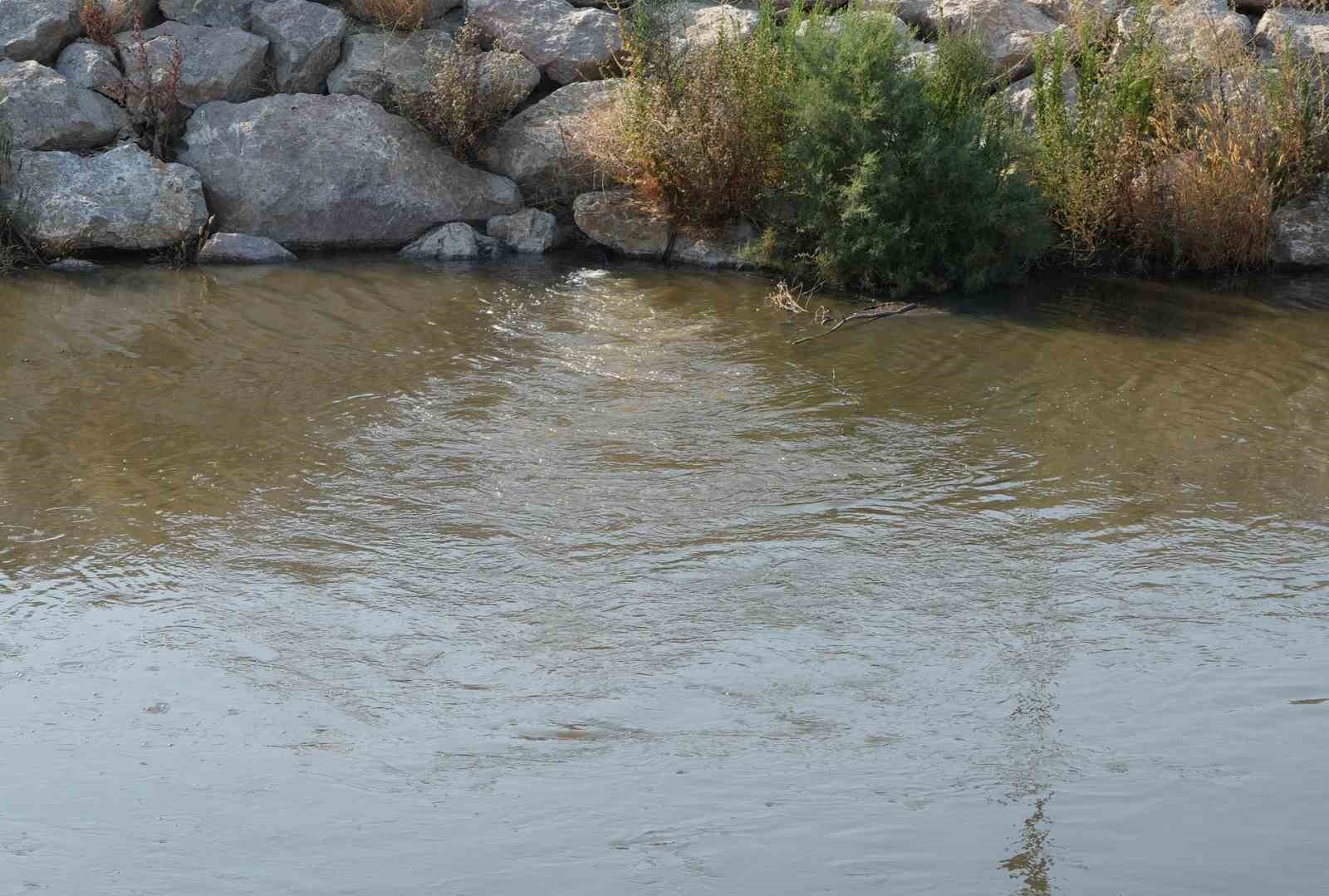 Edremit &Ccedil;ayı&rsquo;ndan yayılan k&ouml;t&uuml; koku tepkilere neden oldu
