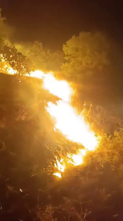 Ormanlık alanda korkutan yangın