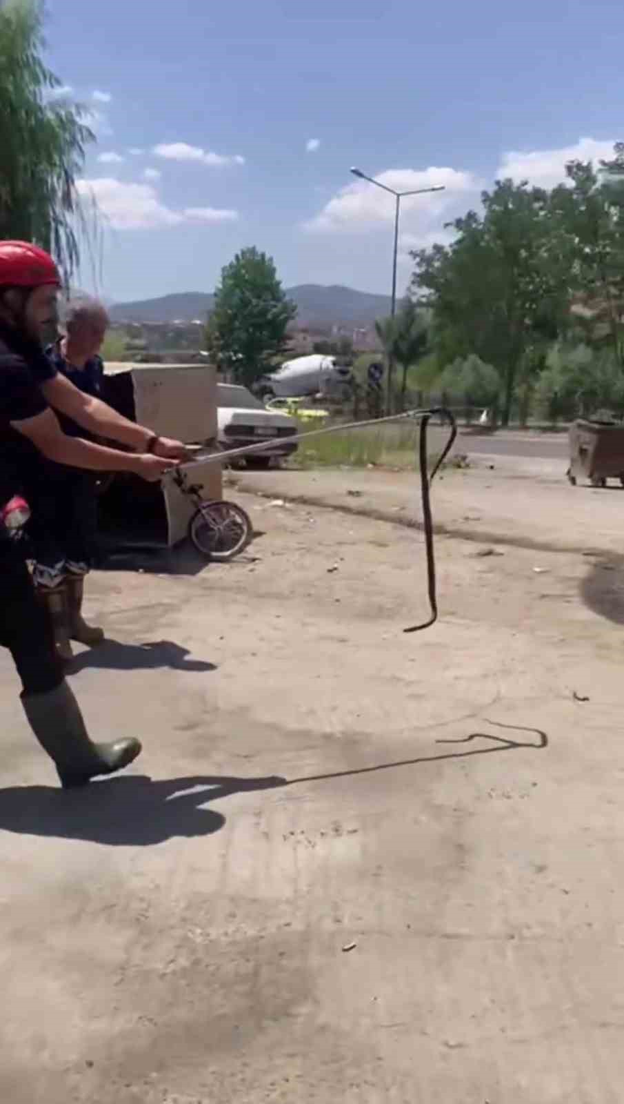 Bing&ouml;l&rsquo;de tamirciye giren yılan paniğe neden oldu
