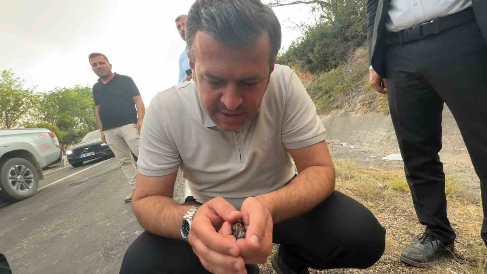 Karab&uuml;k Belediye Başkanı &Ccedil;etinkaya, yangında etkilenen ser&ccedil;eye elleriyle su verdi
