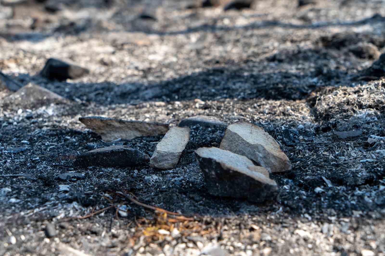 Manisa&rsquo;daki orman yangını kontrol altına alındı
