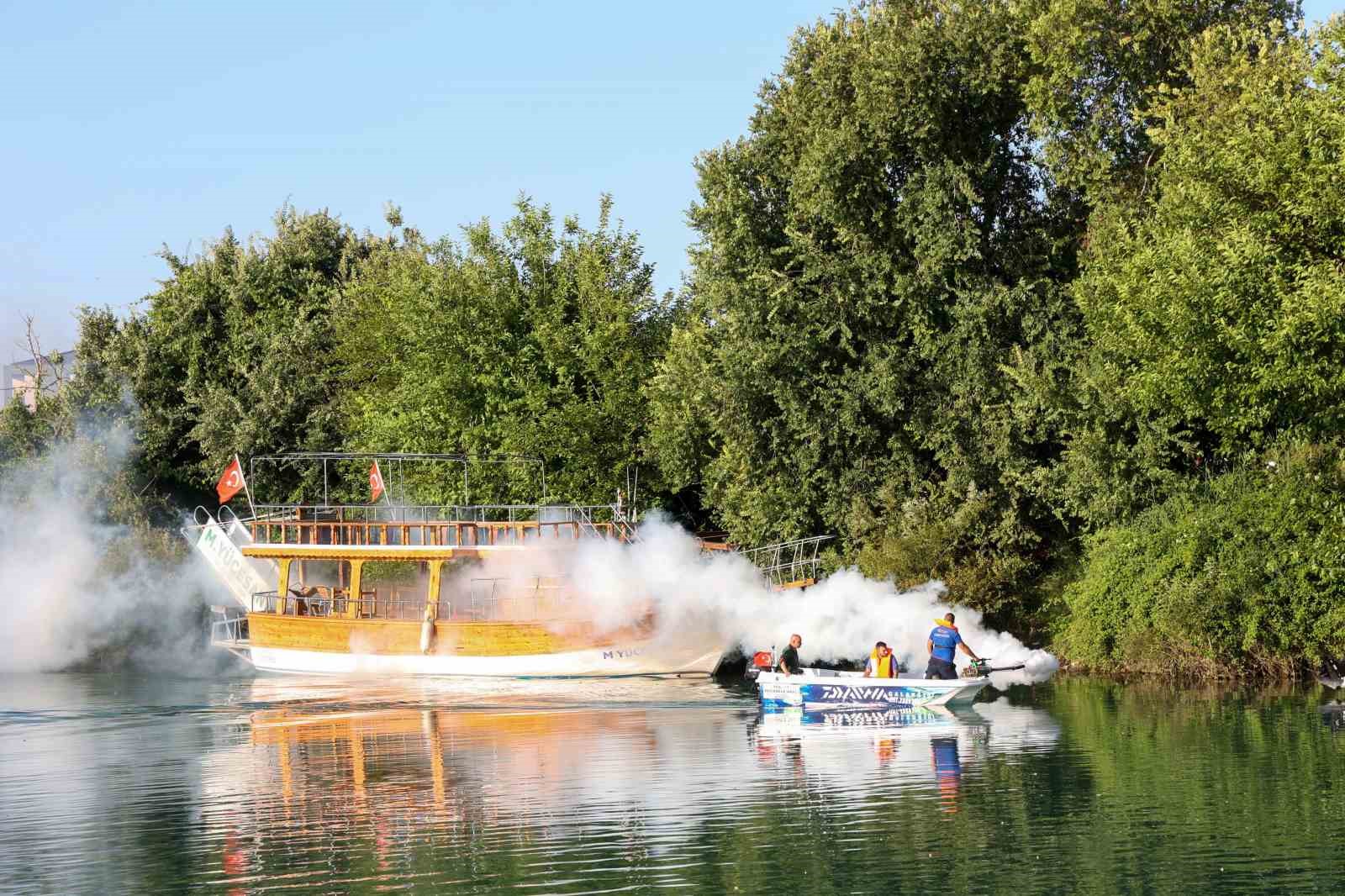 İstilacı tür olarak biliniyor, yumurtaları altı ay kuraklığa dayanabiliyor