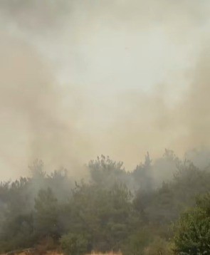 Başkan Subaşı yangın b&ouml;lgesinde
