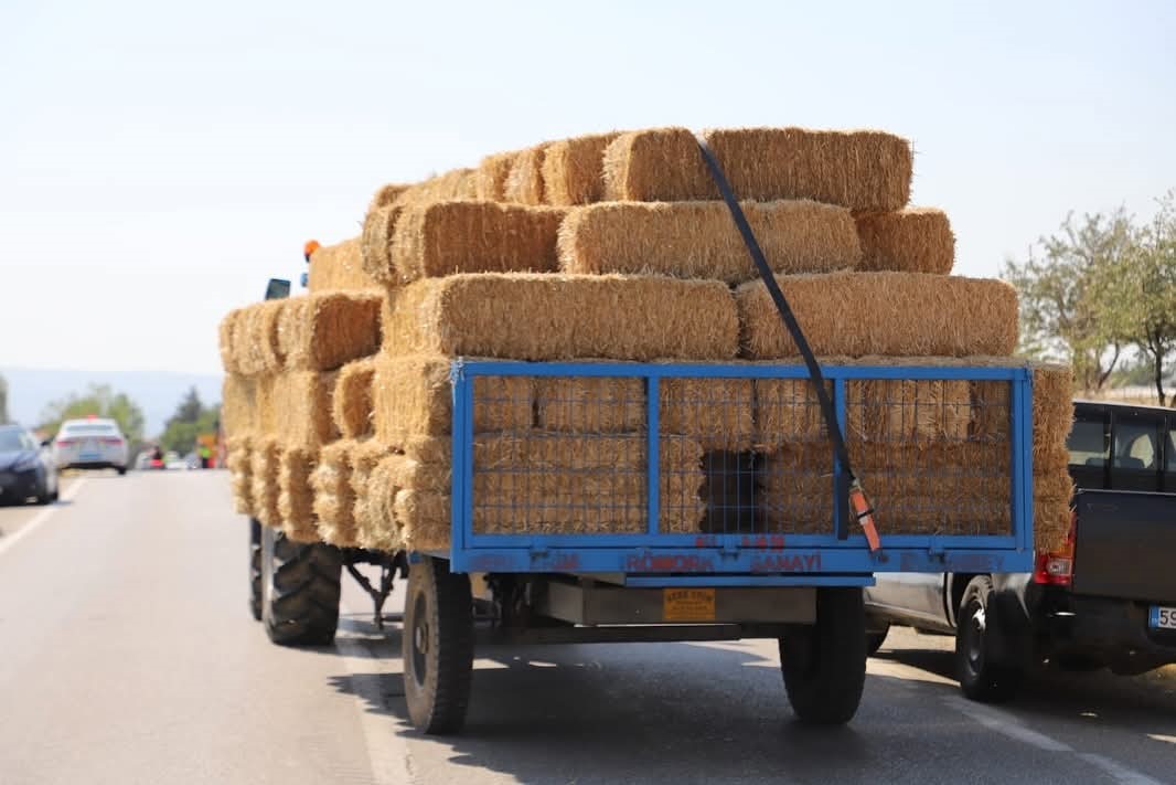 Şark&ouml;y&rsquo;deki orman yangınında zarar g&ouml;ren &uuml;reticilere 150 ton saman yardımı
