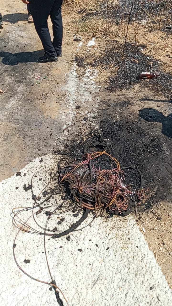 Bursa&rsquo;da 20 zeytin ağacı yandı: 2 &ccedil;ocuk g&ouml;zaltında
