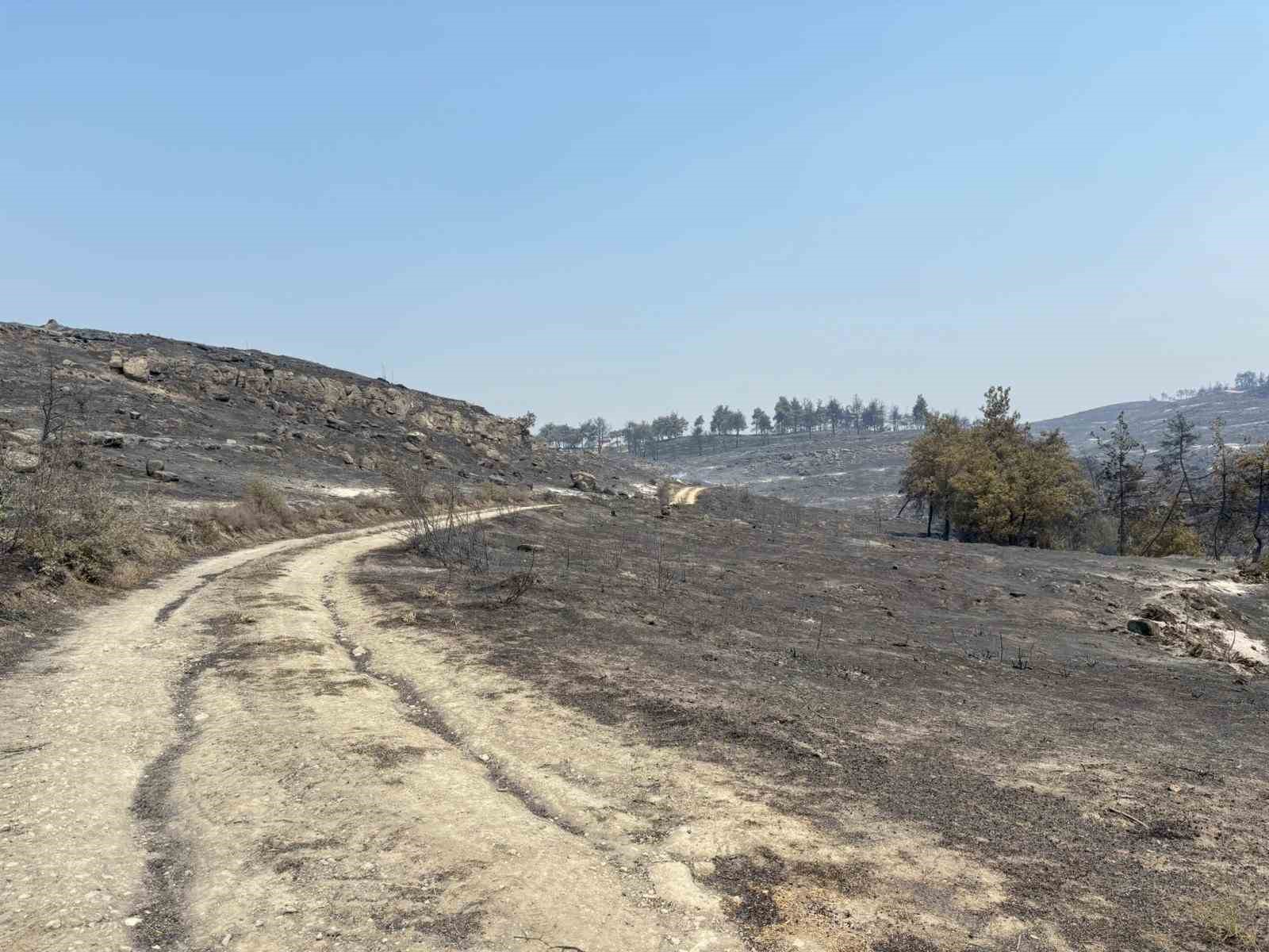 Bilecik&rsquo;te alevler yeniden y&uuml;kseldi, zeytinliği yanan k&ouml;yl&uuml; o anları anlattı
