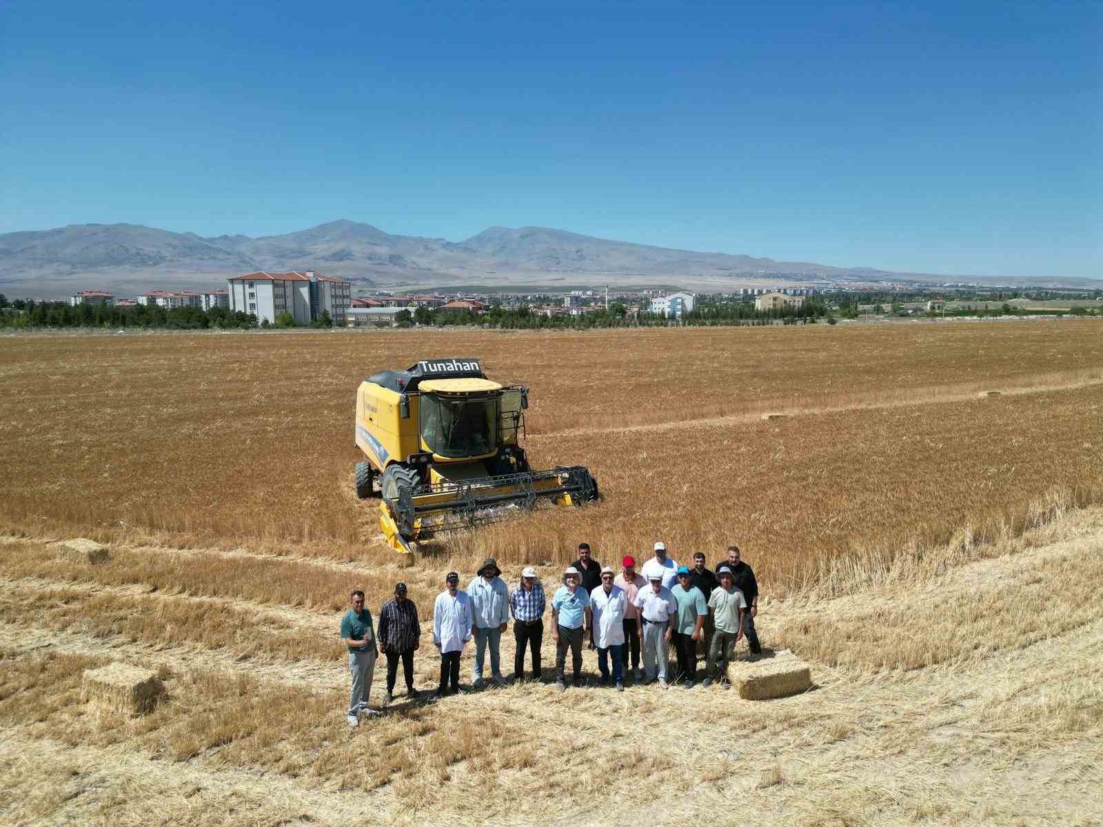 NÖHÜ’de 300 dekar arazide arpa ve buğday hasadı başladı