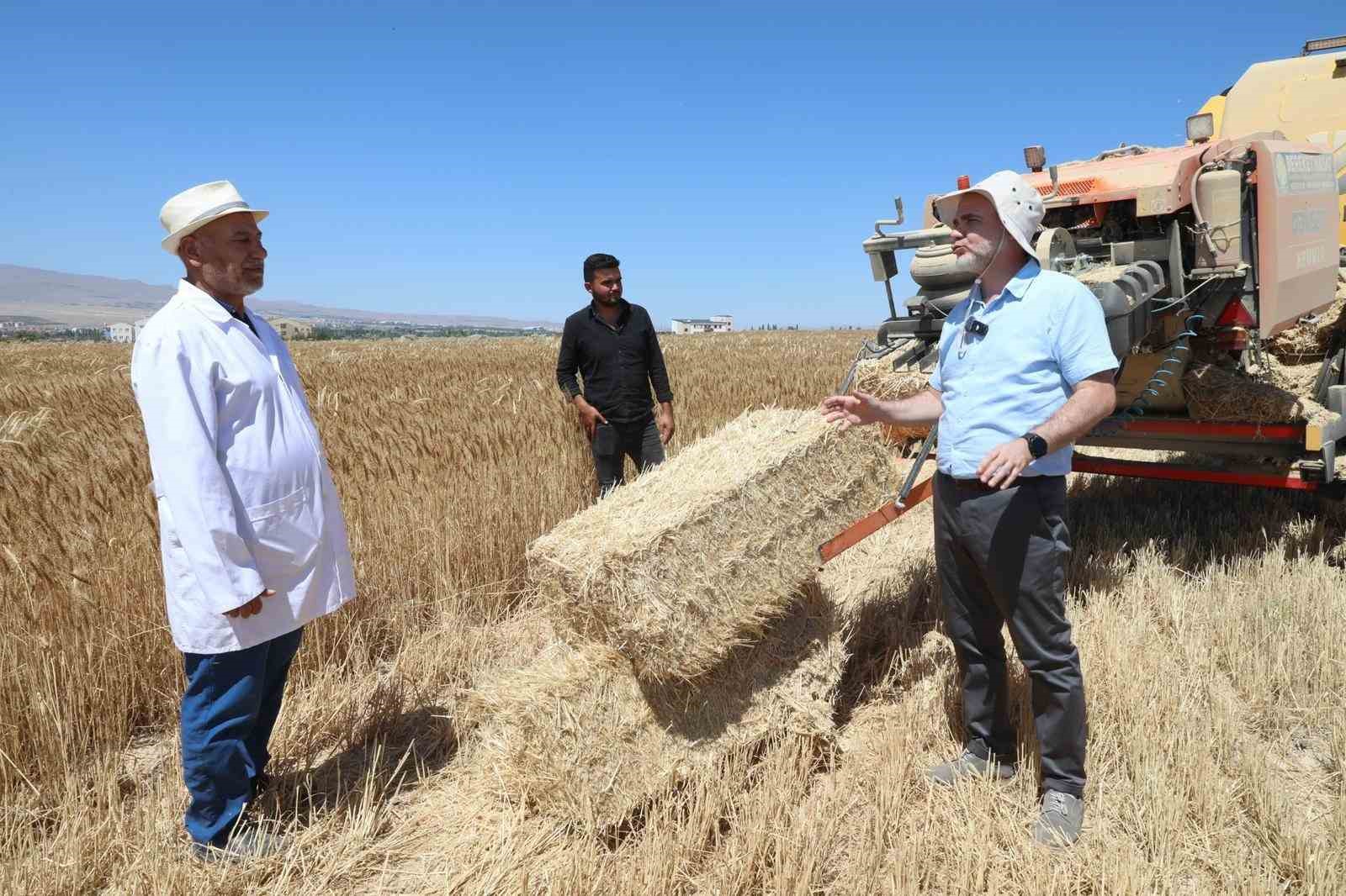 N&Ouml;H&Uuml;&rsquo;de 300 dekar arazide arpa ve buğday hasadı başladı
