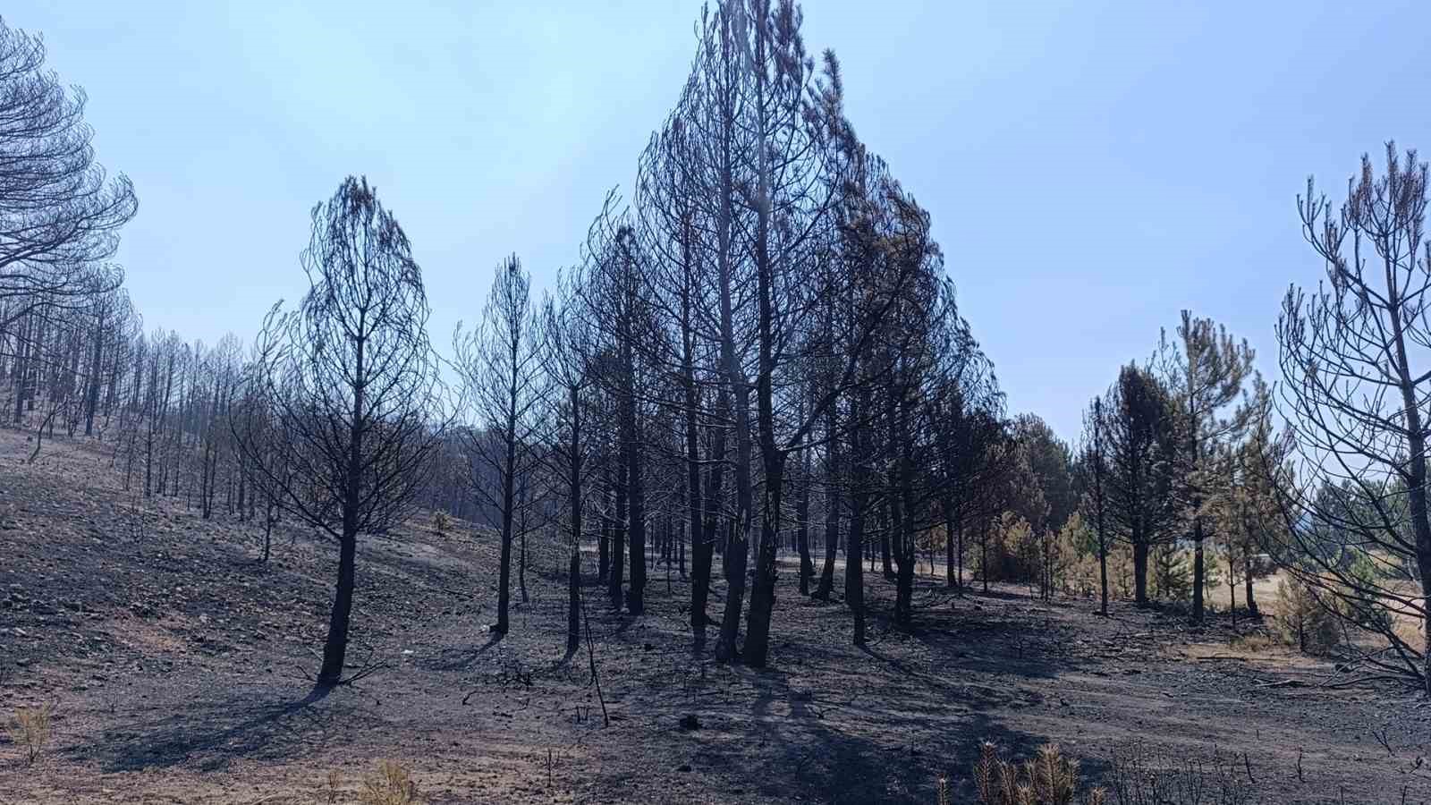 Yangın b&ouml;lgesi havadan g&ouml;r&uuml;nt&uuml;lendi
