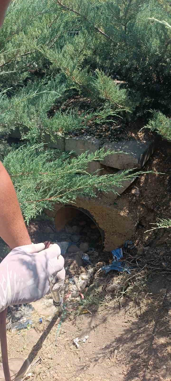 Menfeze sıkışan 2 k&ouml;pek kurtarıldı
