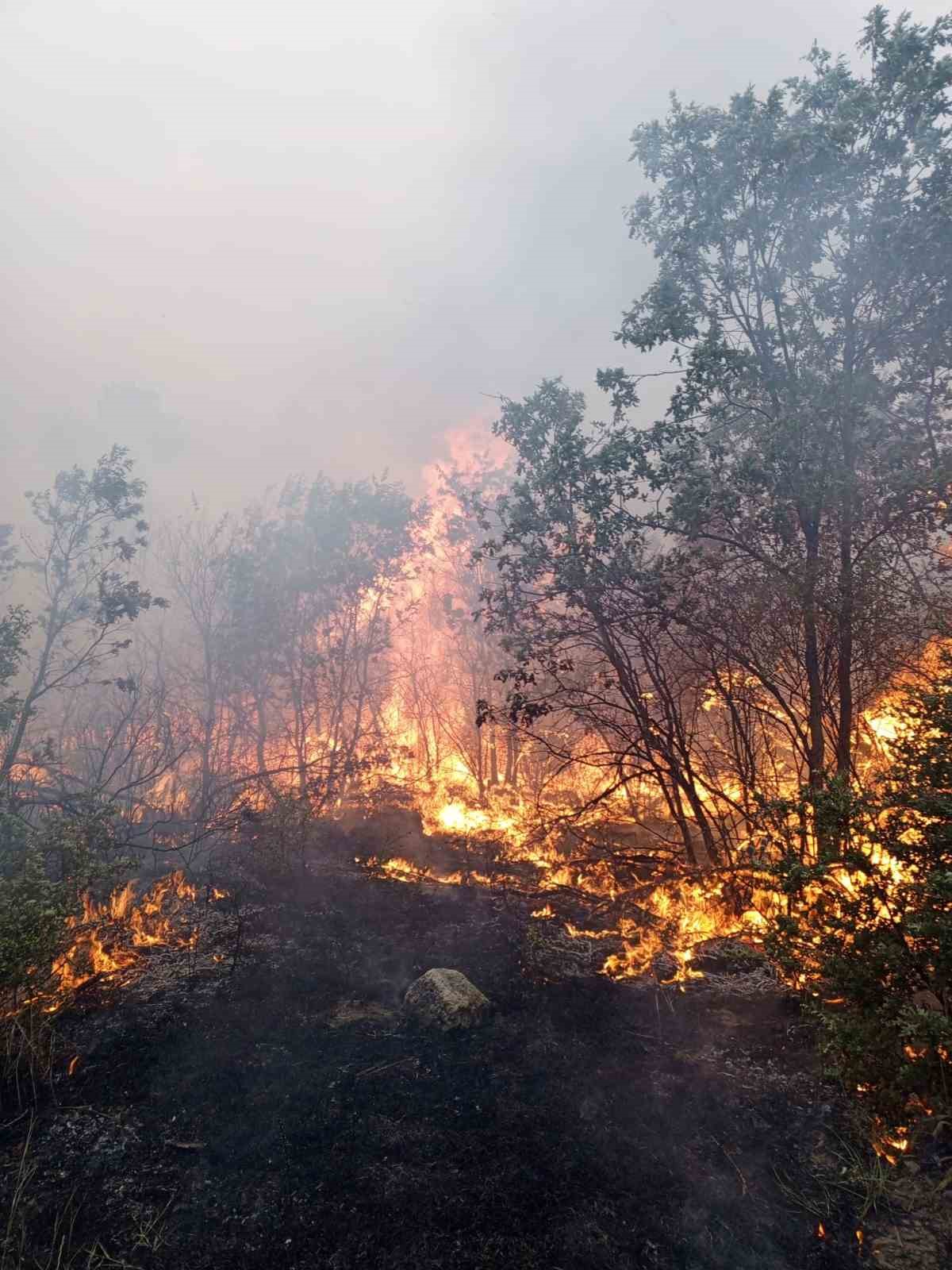 Yangında şehit olan ekibin son g&ouml;r&uuml;nt&uuml;s&uuml; ortaya &ccedil;ıktı
