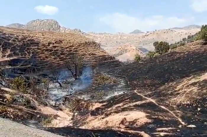 Silopi’de örtü yangını