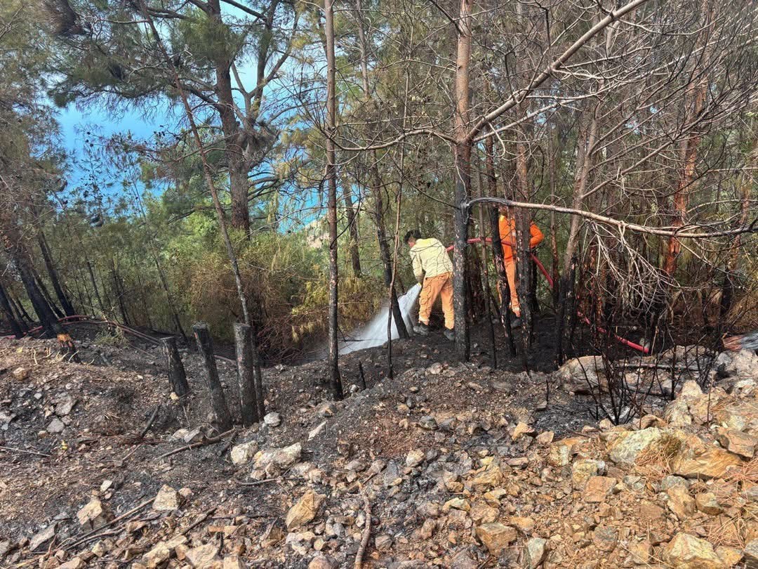 Hatay&rsquo;da &ccedil;ıkan orman yangını kısa s&uuml;rede kontrol altına alındı
