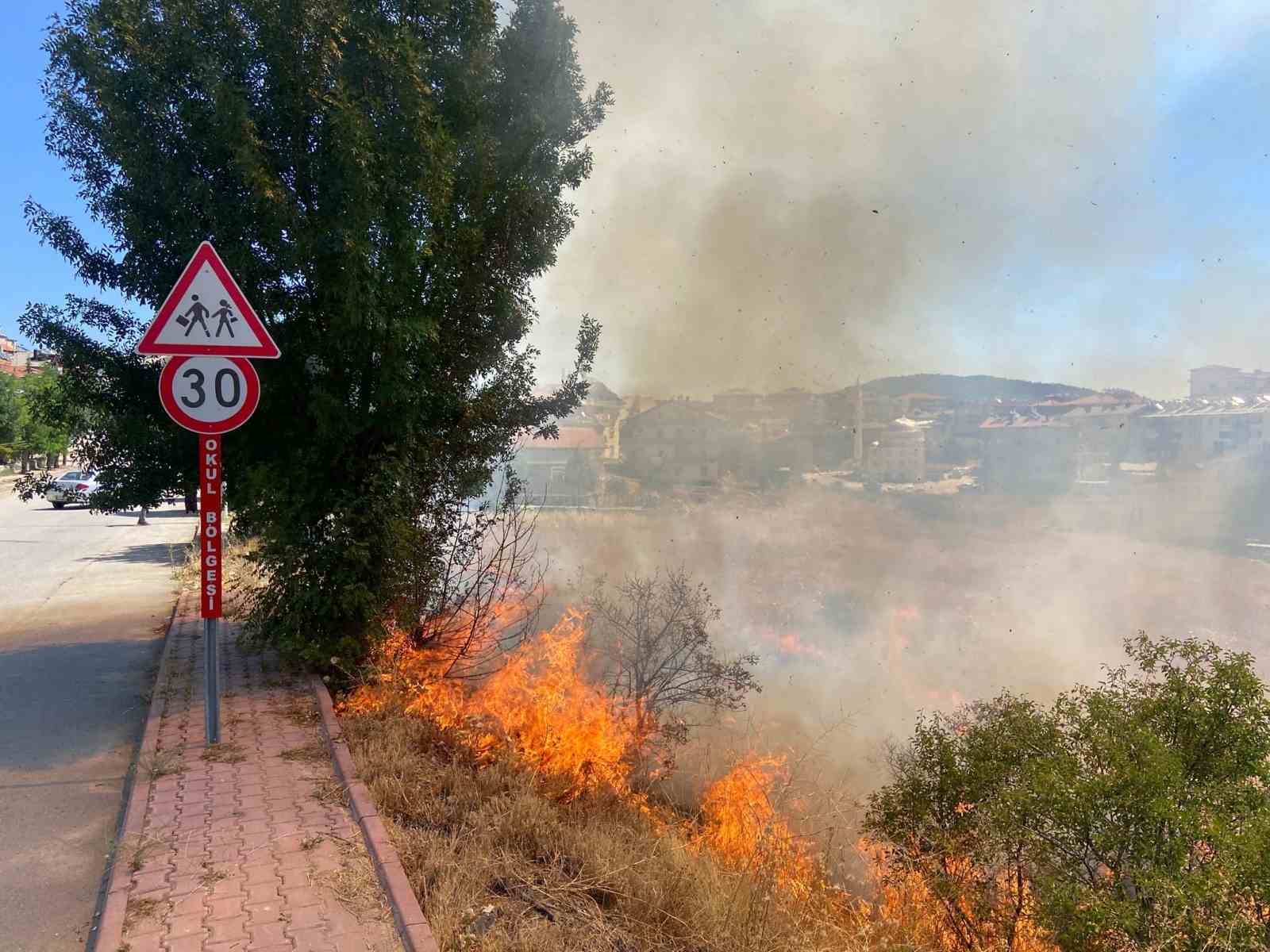 Beyşehir’de alevler bahçelere ulaşmadan söndürüldü