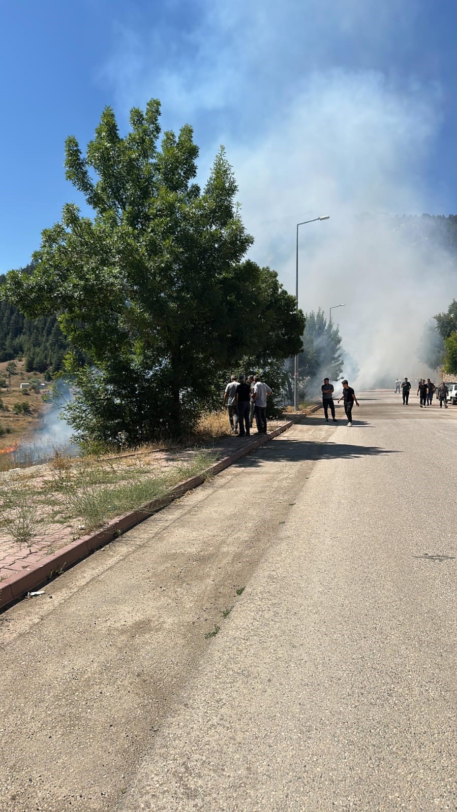 Beyşehir&rsquo;de alevler bah&ccedil;elere ulaşmadan s&ouml;nd&uuml;r&uuml;ld&uuml;
