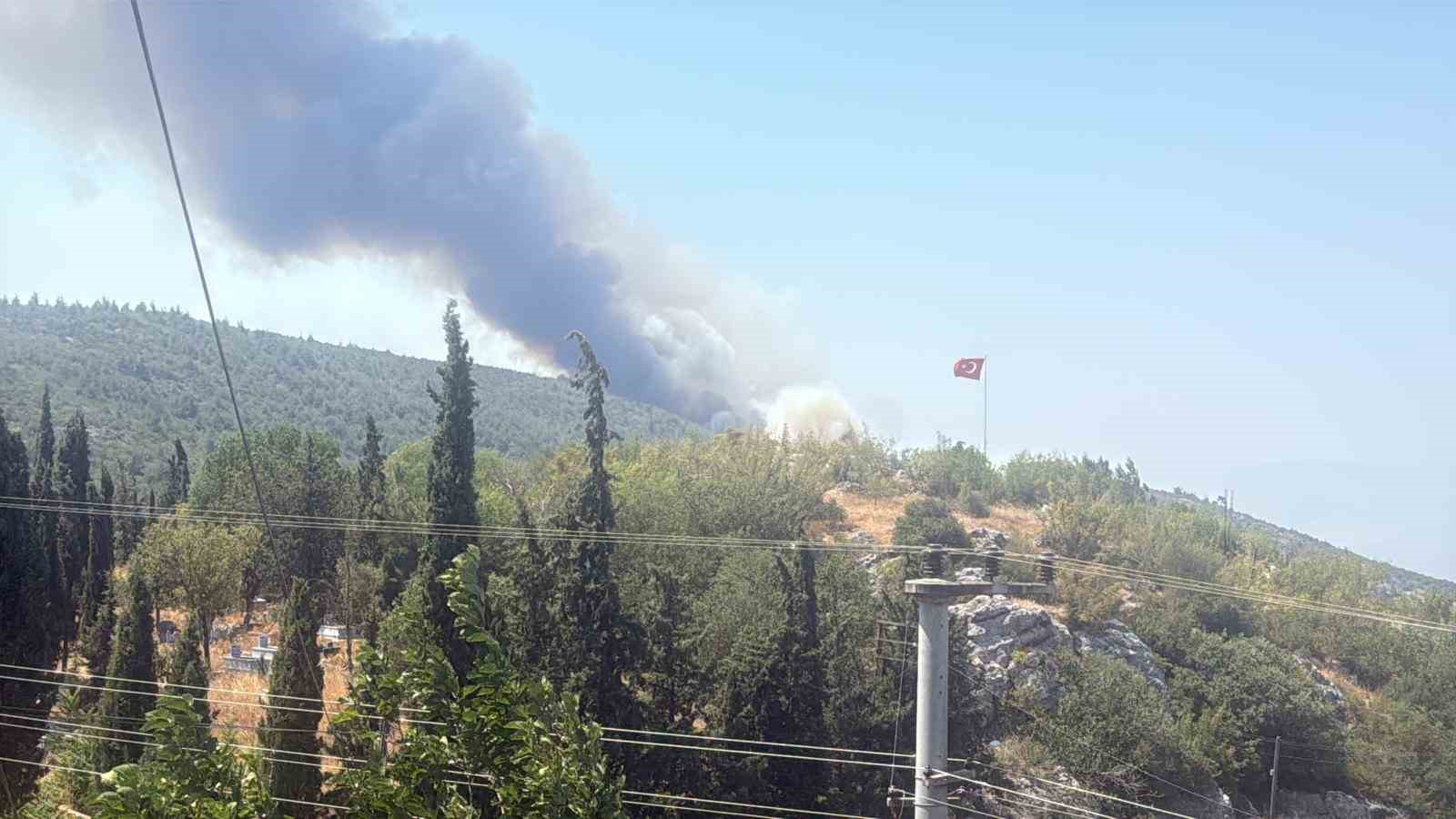 Bilecik’te alevler tavuk çiftliklerine dayandı