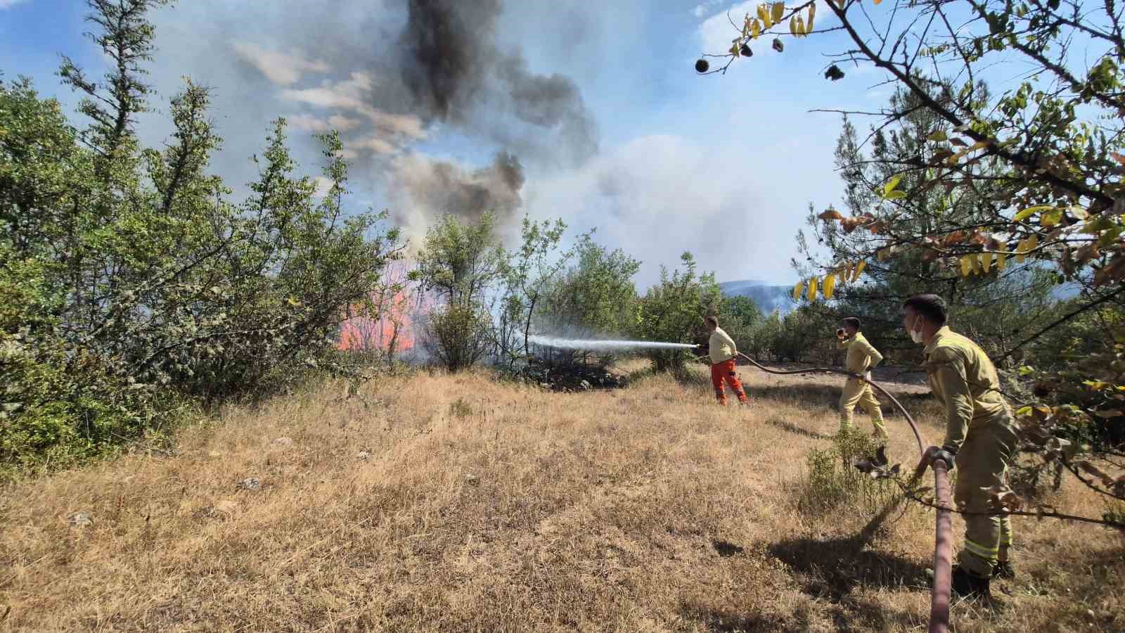Karabük’teki orman yangınlarını söndürme çalışmaları aralıksız sürüyor