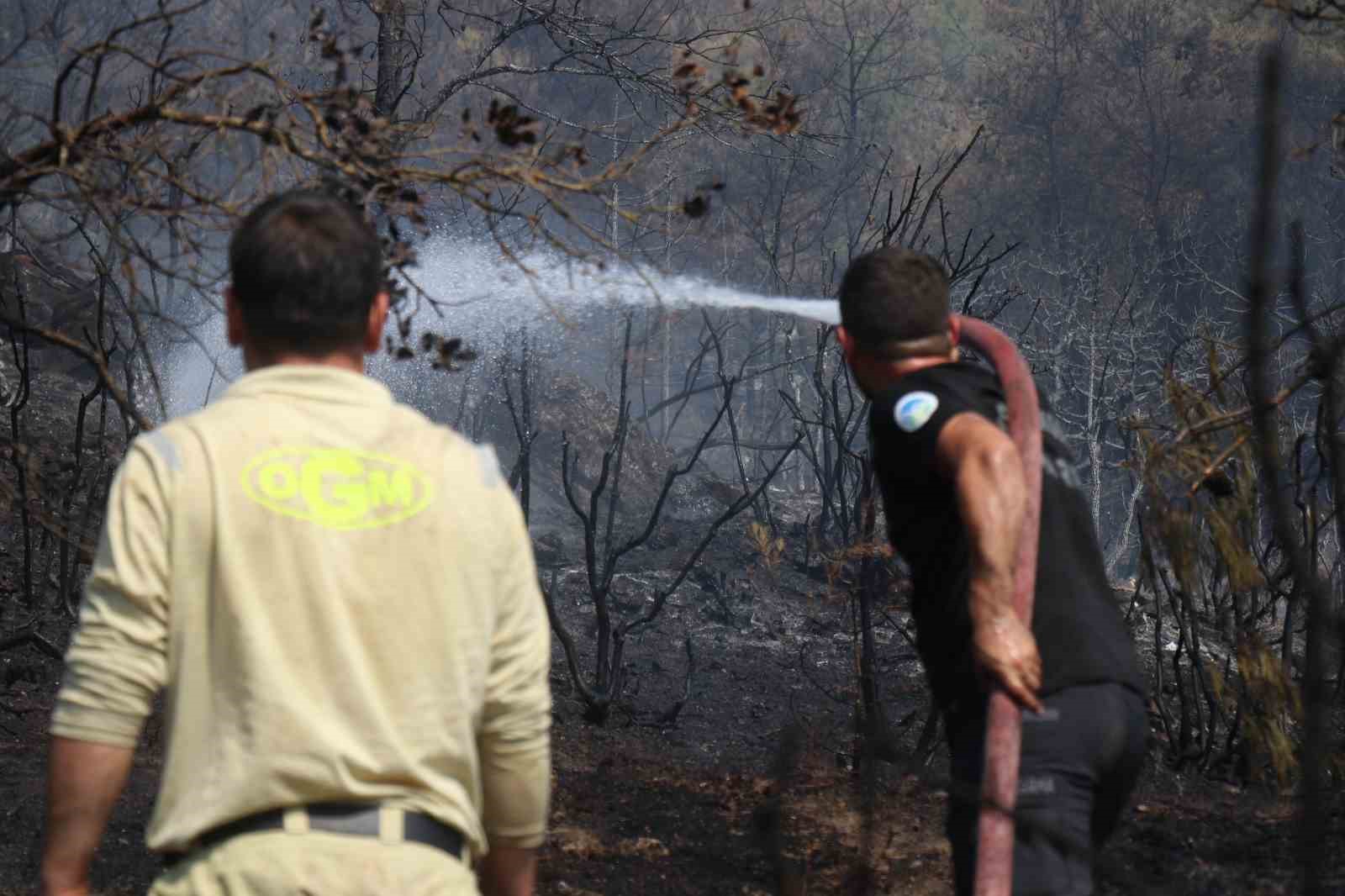 Sakarya-Bilecik sınırında alevler yeniden yükseldi: Hızlı müdahale yayılmayı önledi