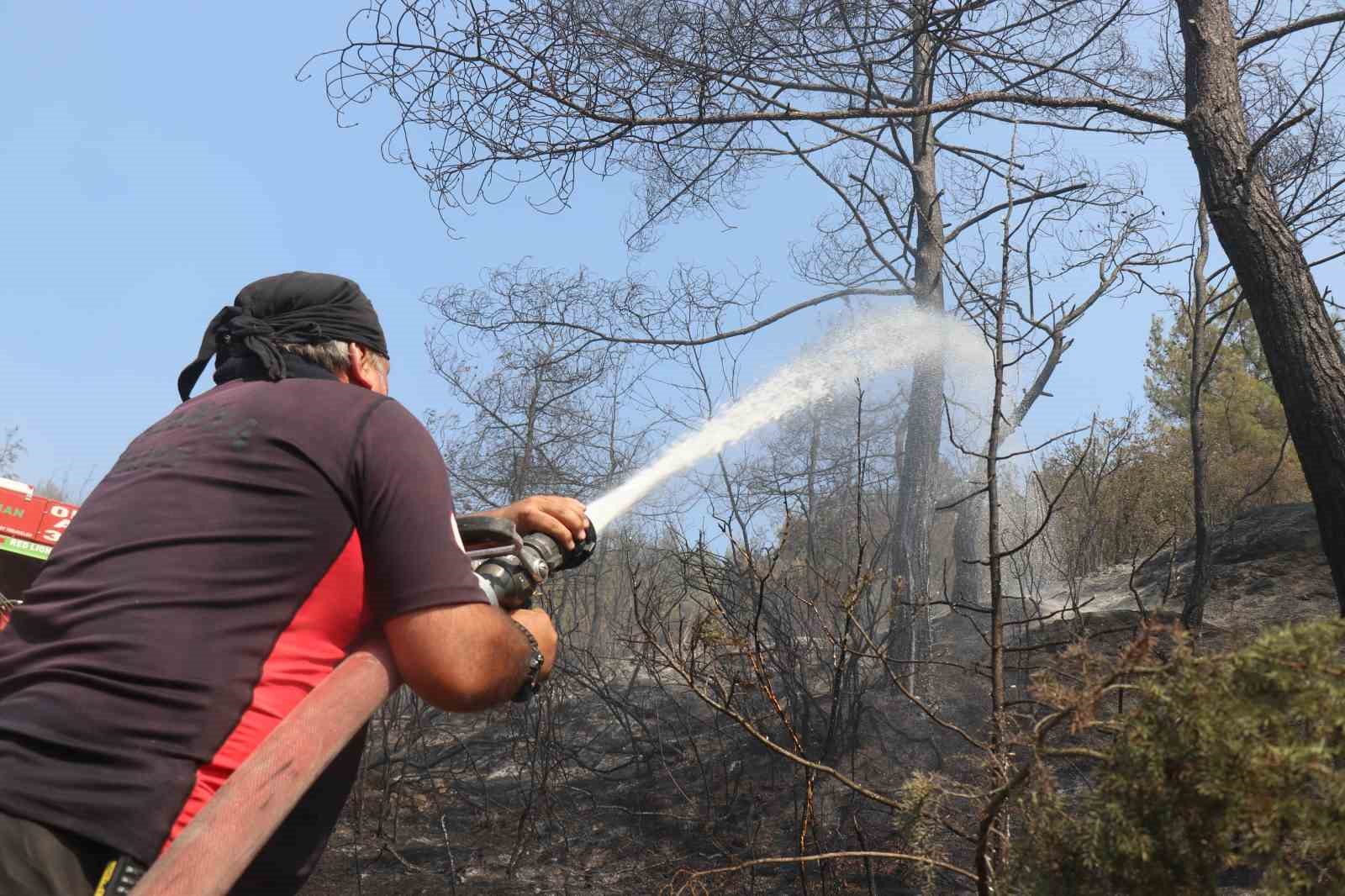 Sakarya-Bilecik sınırında alevler yeniden y&uuml;kseldi: Hızlı m&uuml;dahale yayılmayı &ouml;nledi
