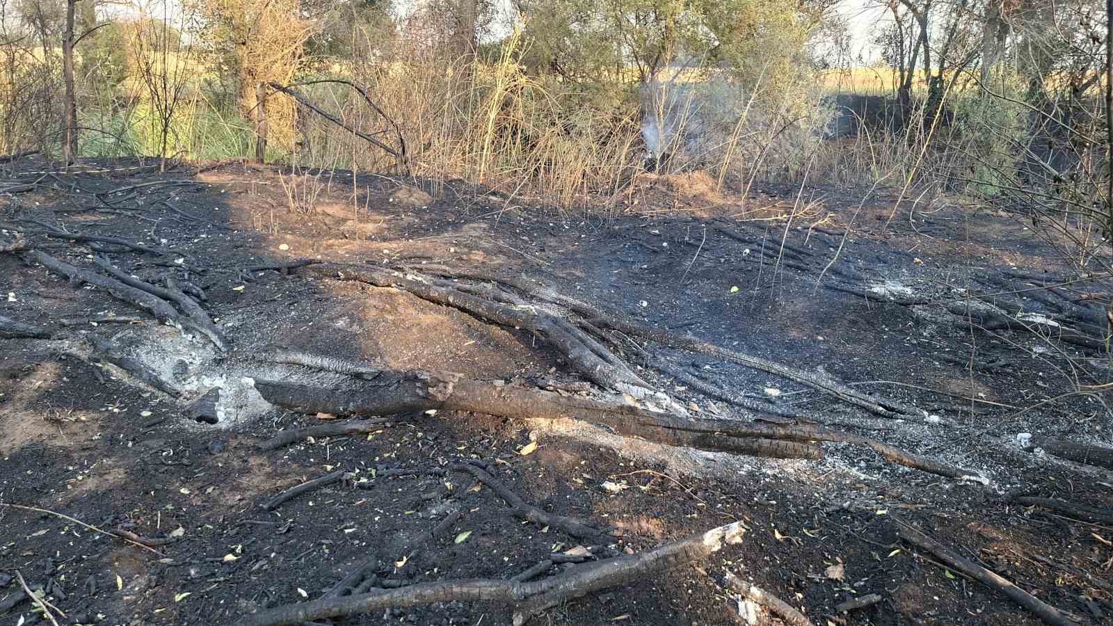 K&uuml;tahya&rsquo;da 8 d&ouml;n&uuml;m arazi ve 180 balya saman k&uuml;le d&ouml;nd&uuml;
