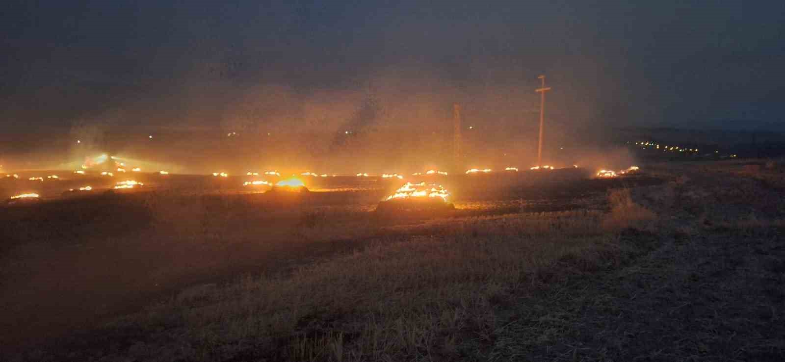 Elektrik direğinden çıkan kıvılcım 50 dönüm araziyi yaktı