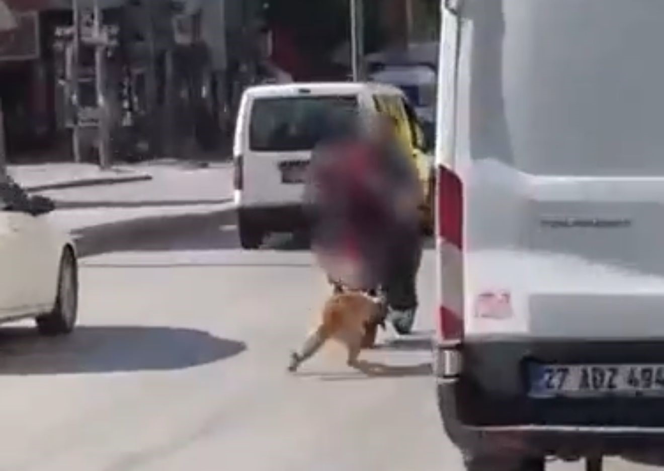 Motosikletin arkasına bağladıkları köpeği sürükleyerek götürdüler