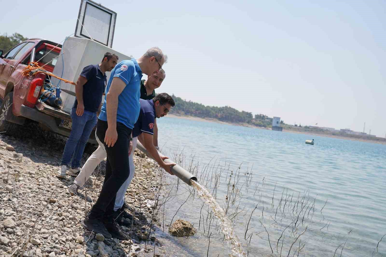 Adana’da yetişen 10 milyon 500 bin yavru sazan 12 ilde 129 göl ve göletlere bırakıldı