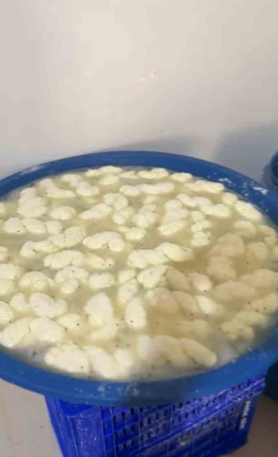 Mide bulandıran şartlarda &uuml;retilen yarım ton s&uuml;t ve s&uuml;t &uuml;r&uuml;n&uuml; imha edildi
