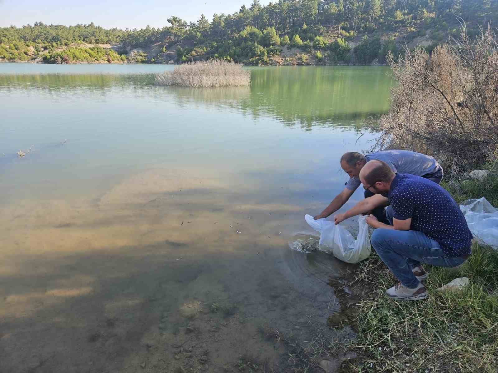 Dazkırı’daki Çiftlik köyü baraj göletinde balıklandırma yapıldı