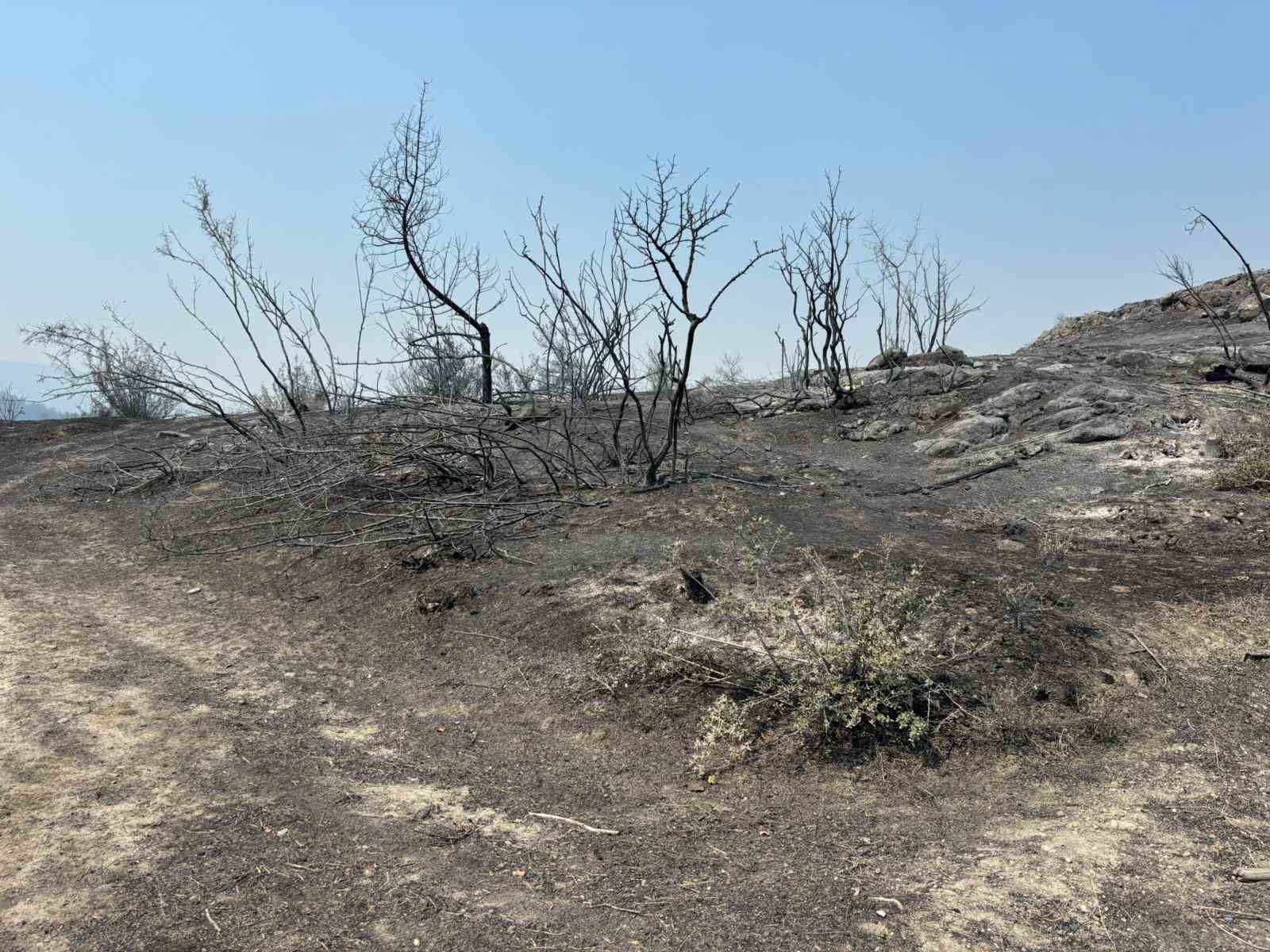 Bilecik&rsquo;te yangın kontrol altına alındı
