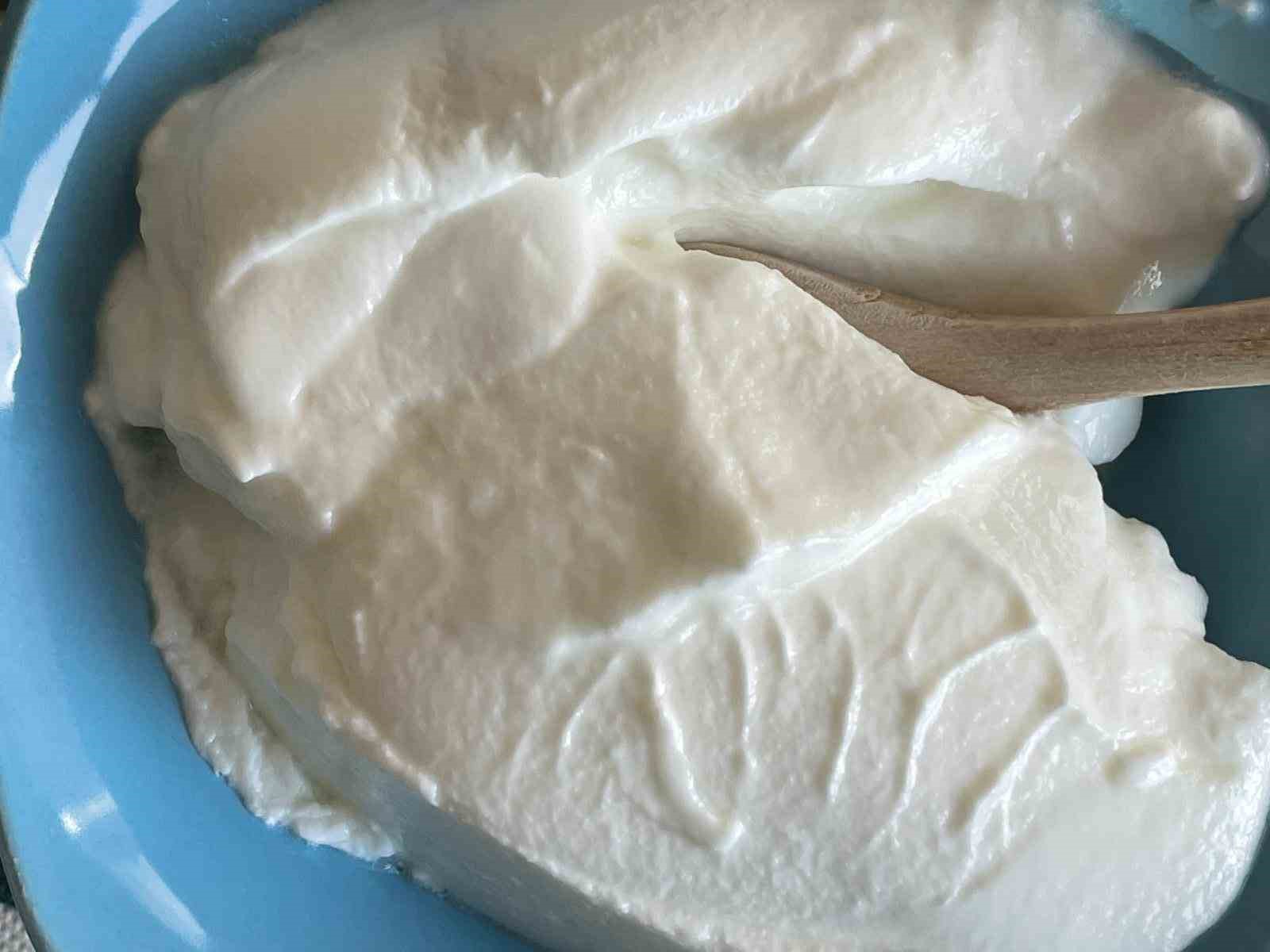 Prof. Dr. H&uuml;dayi Ercoşkun: "Yoğurt T&uuml;rk&rsquo;t&uuml;r T&uuml;rk kalacak"
