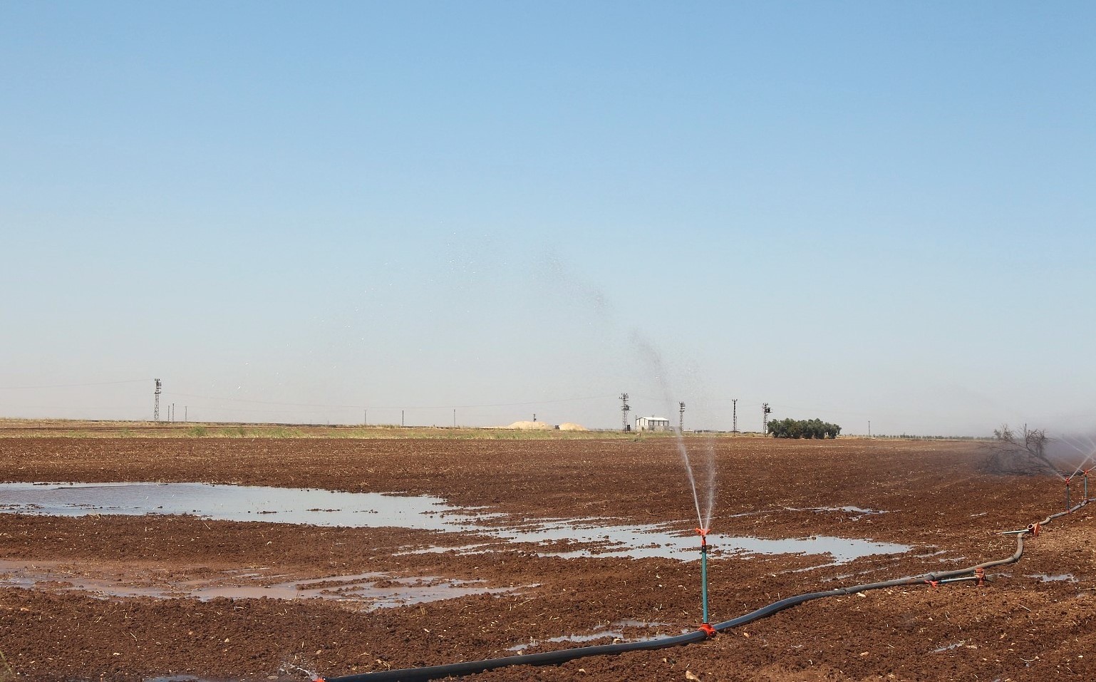 Mısır ekimi yasağına rağmen ka&ccedil;ak sulama, enerji altyapısını tehdit ediyor
