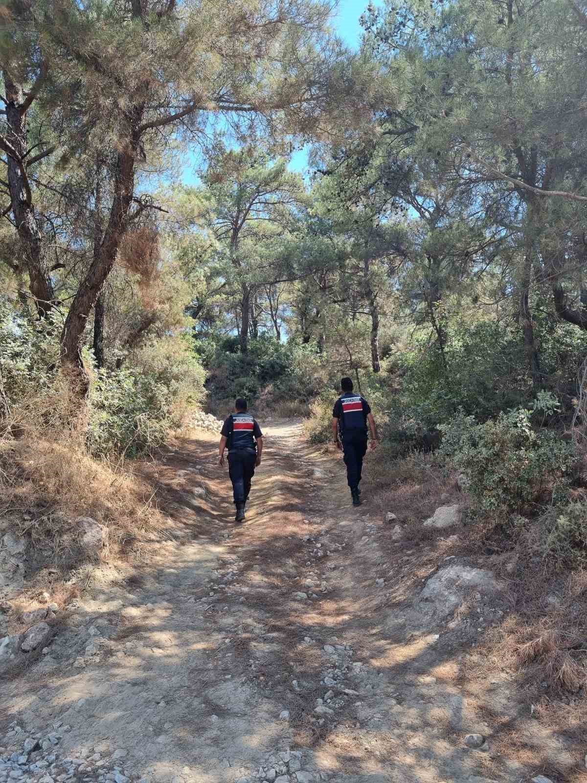 Ormanlar hem karadan hem havadan korunuyor