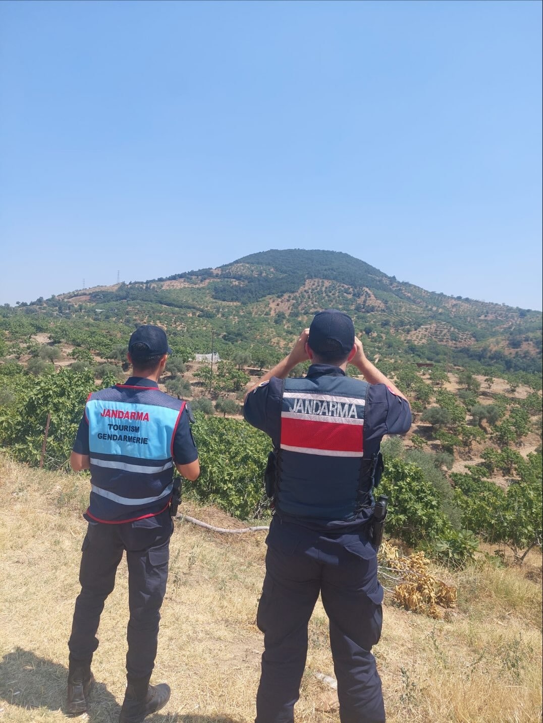 Ormanlar hem karadan hem havadan korunuyor
