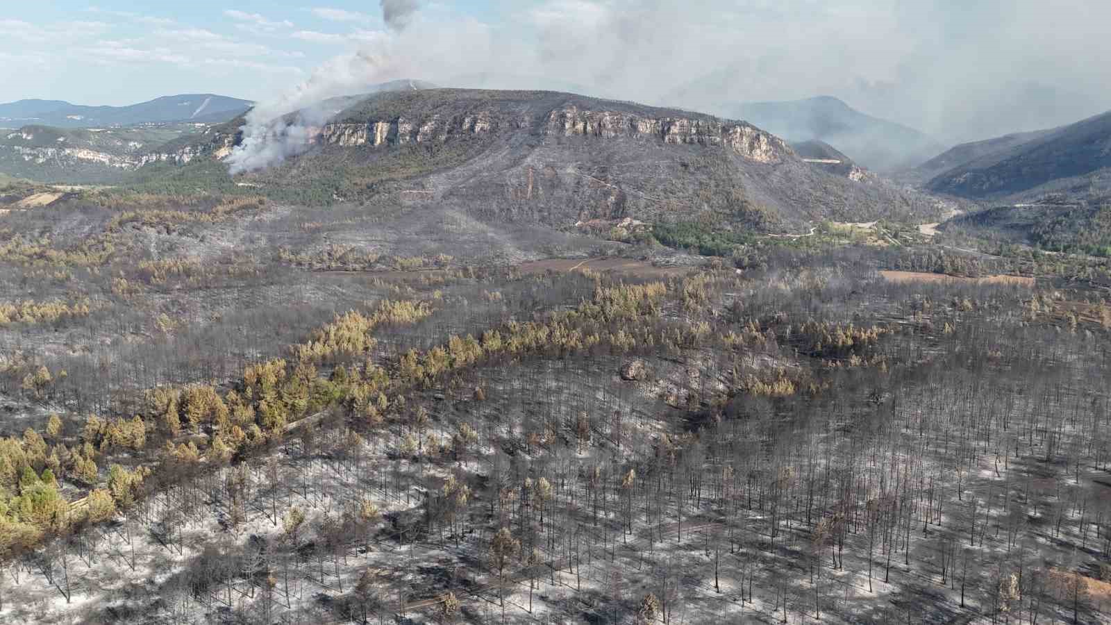 Karabük’te orman yangınlarındaki yürek burkan tahribat havadan görüntülendi