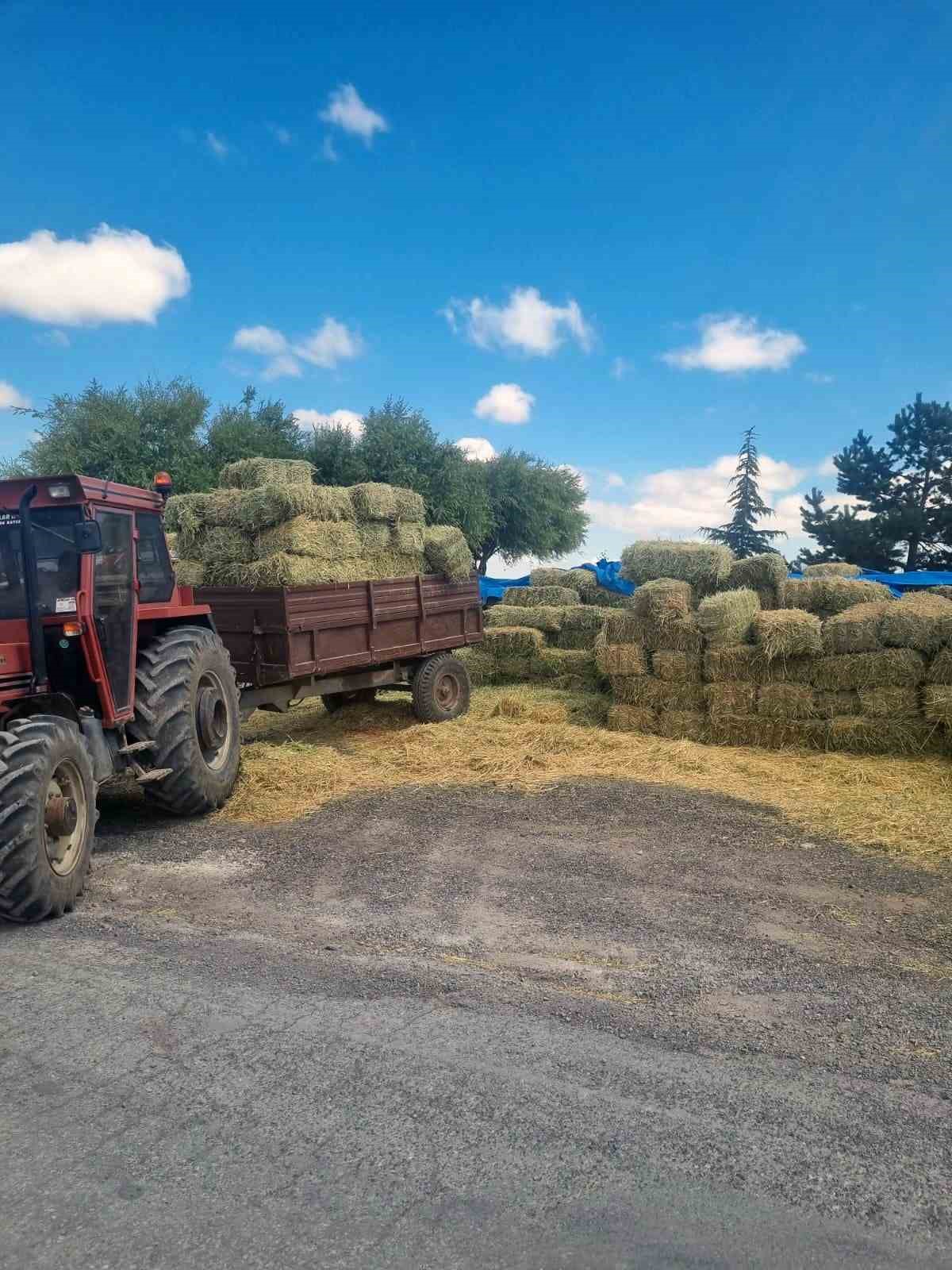 Talas Belediyesi&rsquo;nden yem desteği
