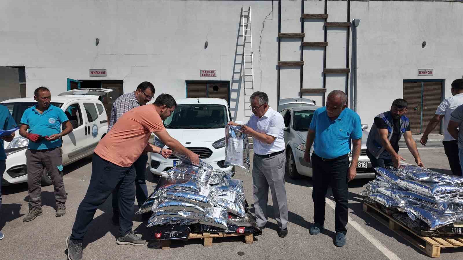 İlçe belediyelerine sokak hayvanlarını toplama eğitimi ve mama desteği