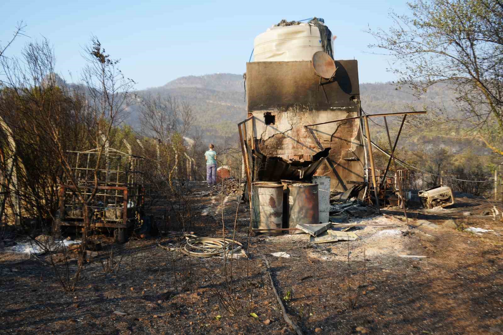 Yangından ka&ccedil;ıp kurtulan tavuk k&uuml;mesine geri d&ouml;nd&uuml;
