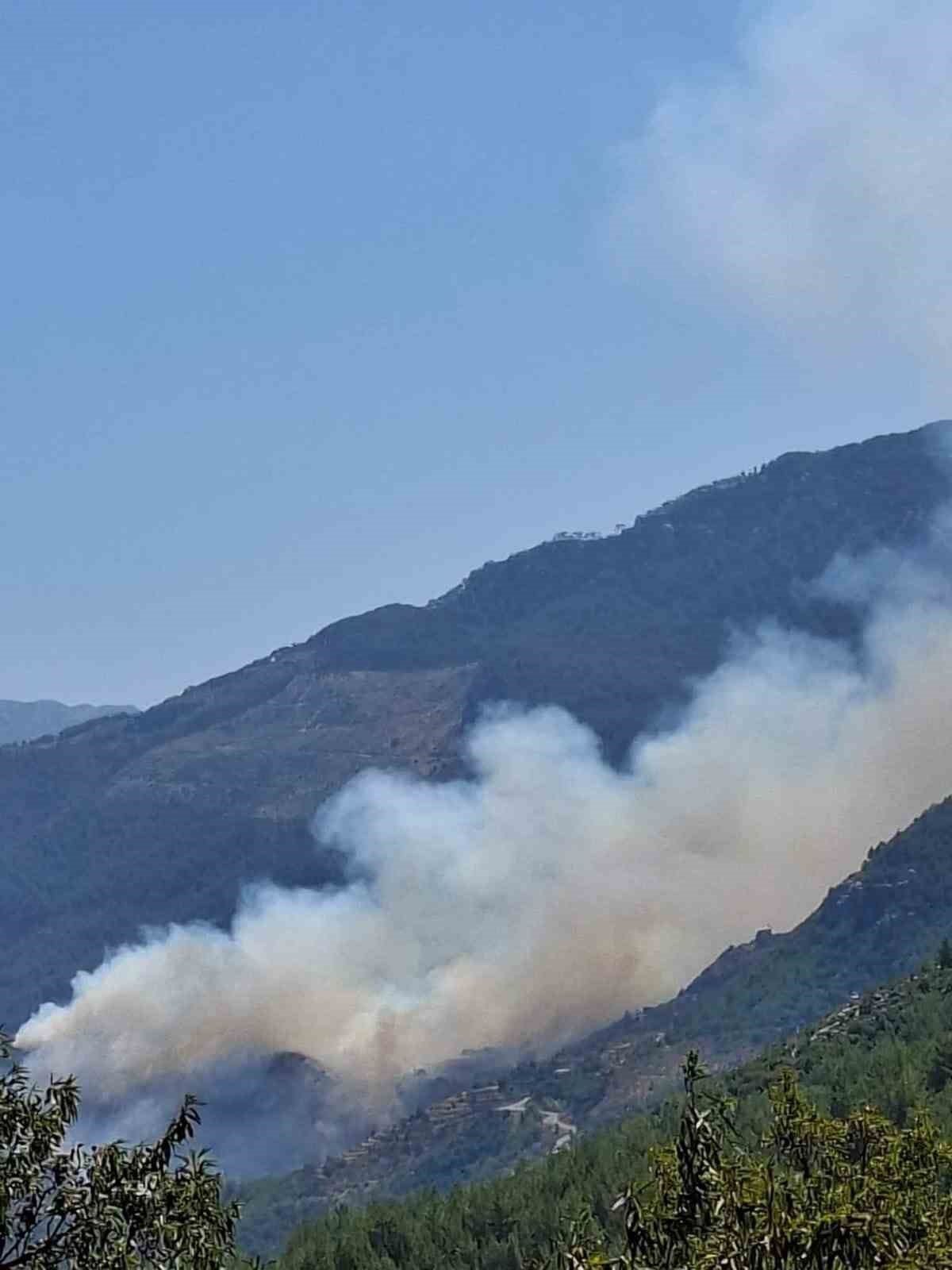 Gazipaşa’da ormanlık alanda yangın