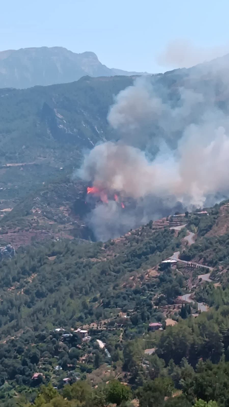 Gazipaşa’da ormanlık alanda yangın