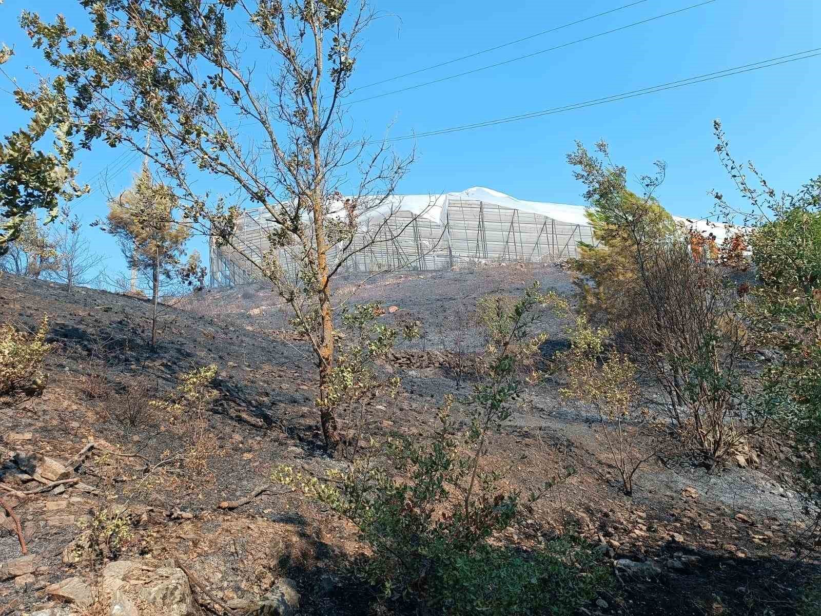 Alanya’da makilik alanda çıkan yangın kısa sürede kontrol altına alındı