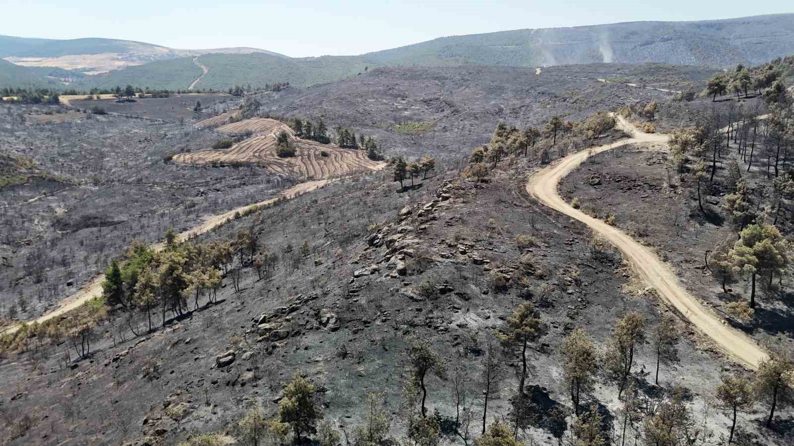 Bilecik&rsquo;te yanan ormanlık ve kırsal alan havadan g&ouml;r&uuml;nt&uuml;lendi
