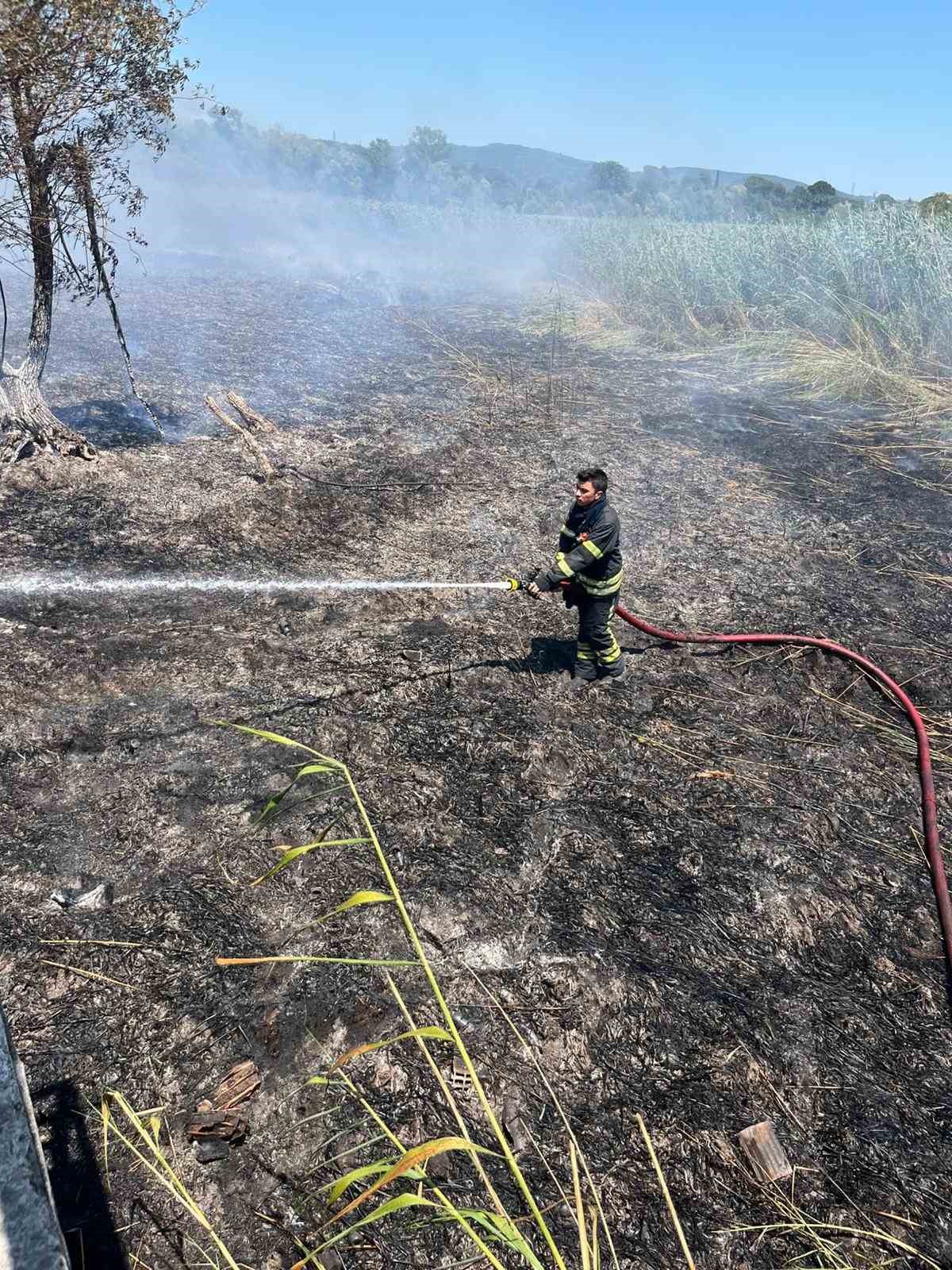Sapanca Gölü’ndeki sazlık alanda yangın çıktı
