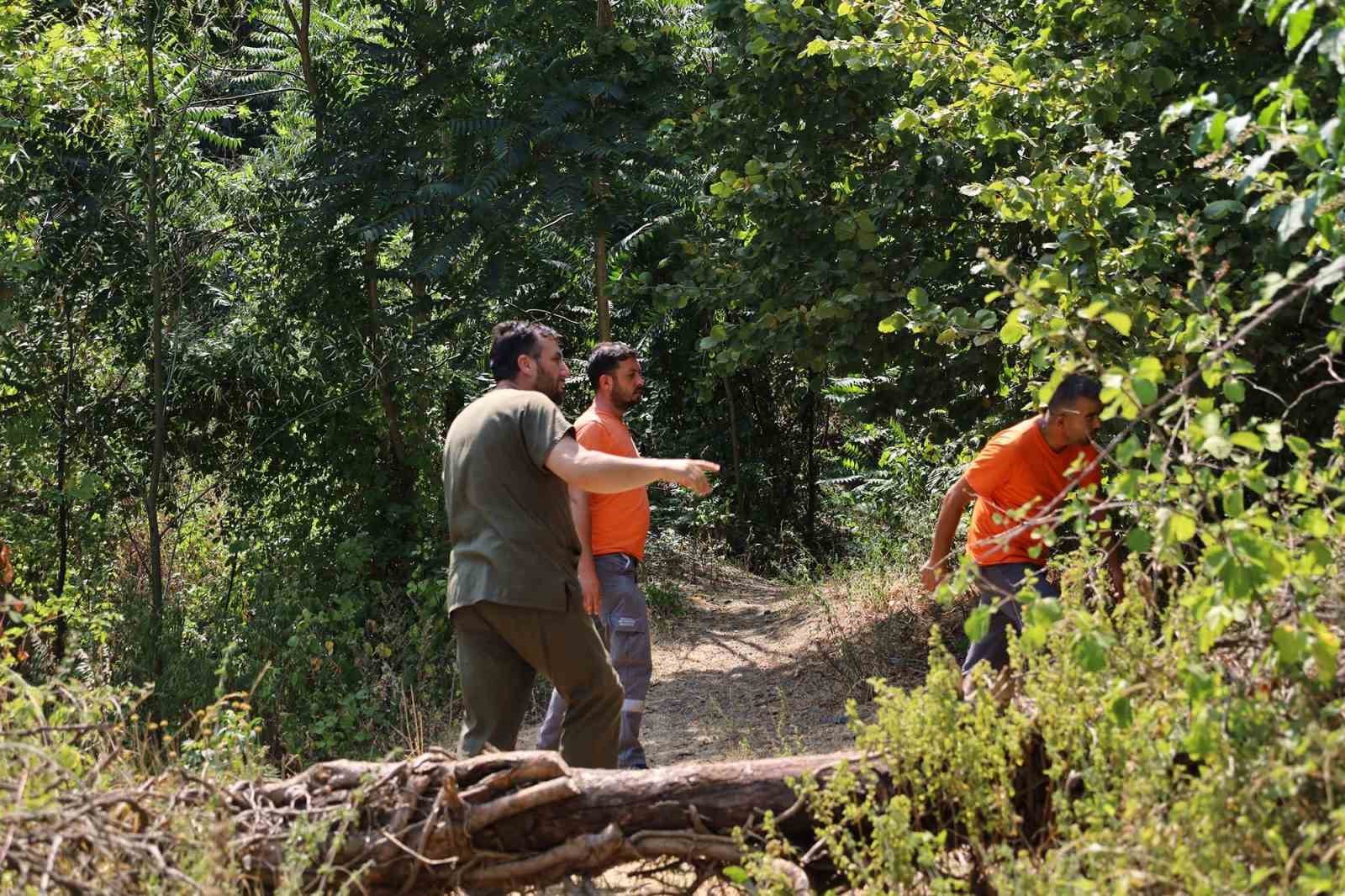 Alevlerin sardığı orman yangınlarında can dostları için harekete geçtiler