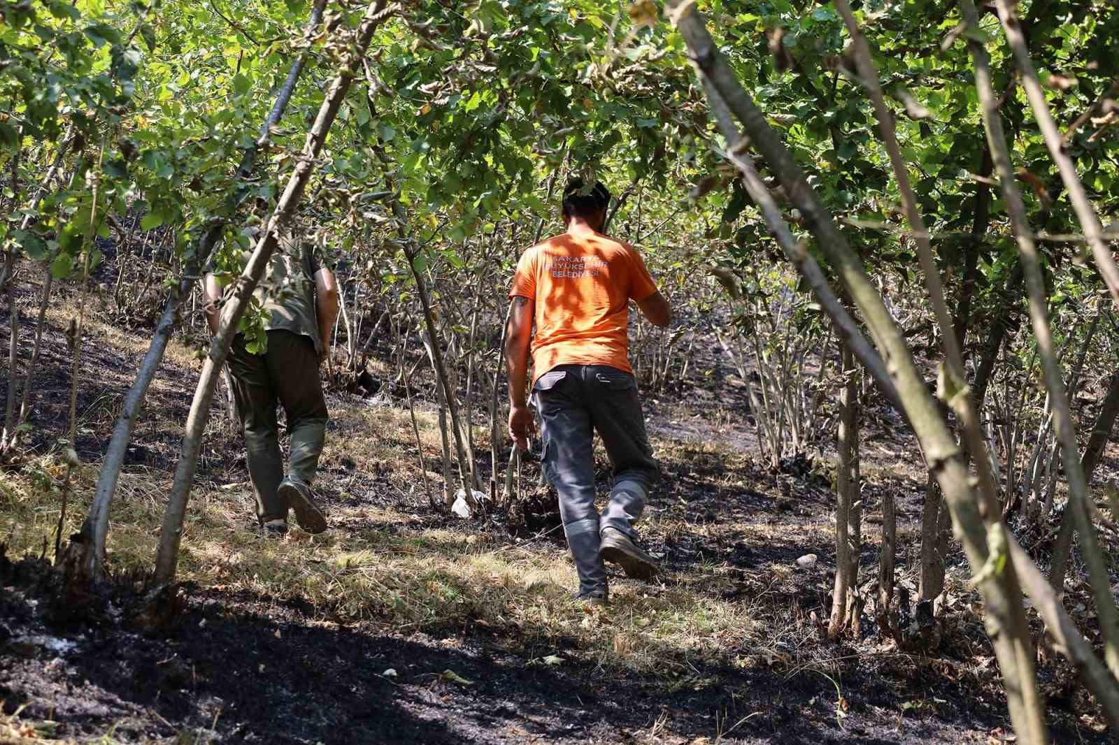 Alevlerin sardığı orman yangınlarında can dostları i&ccedil;in harekete ge&ccedil;tiler
