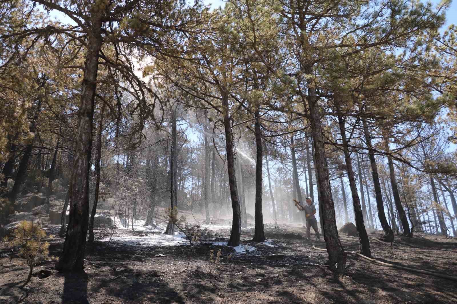 Yangınla mücadelede onları ne uykusuzluk ne de yorgunluk durduruyor