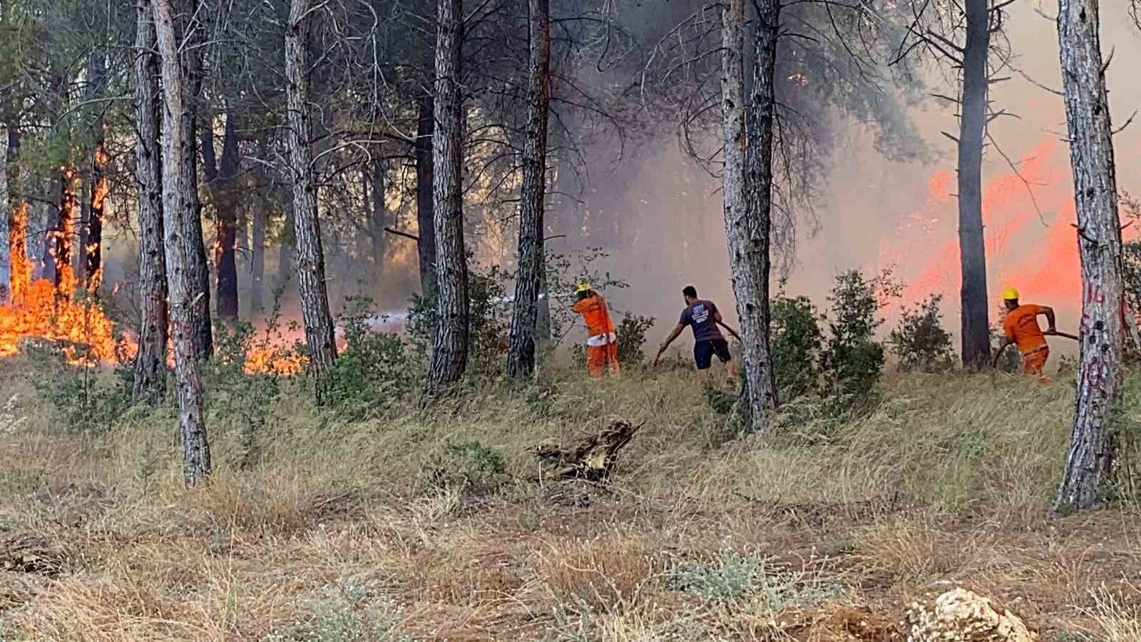 Vali Şahin: "Yangınlar şehir merkezlerinde ciddi risk oluşturdu"

