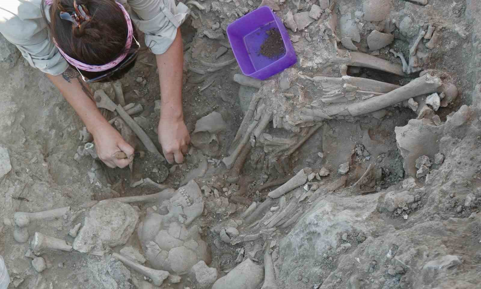 Gökçeada Uğurlu-Zeytinlik kazılarında tarım ve hayvancılığa dayalı ilk köy yerleşimi bulundu